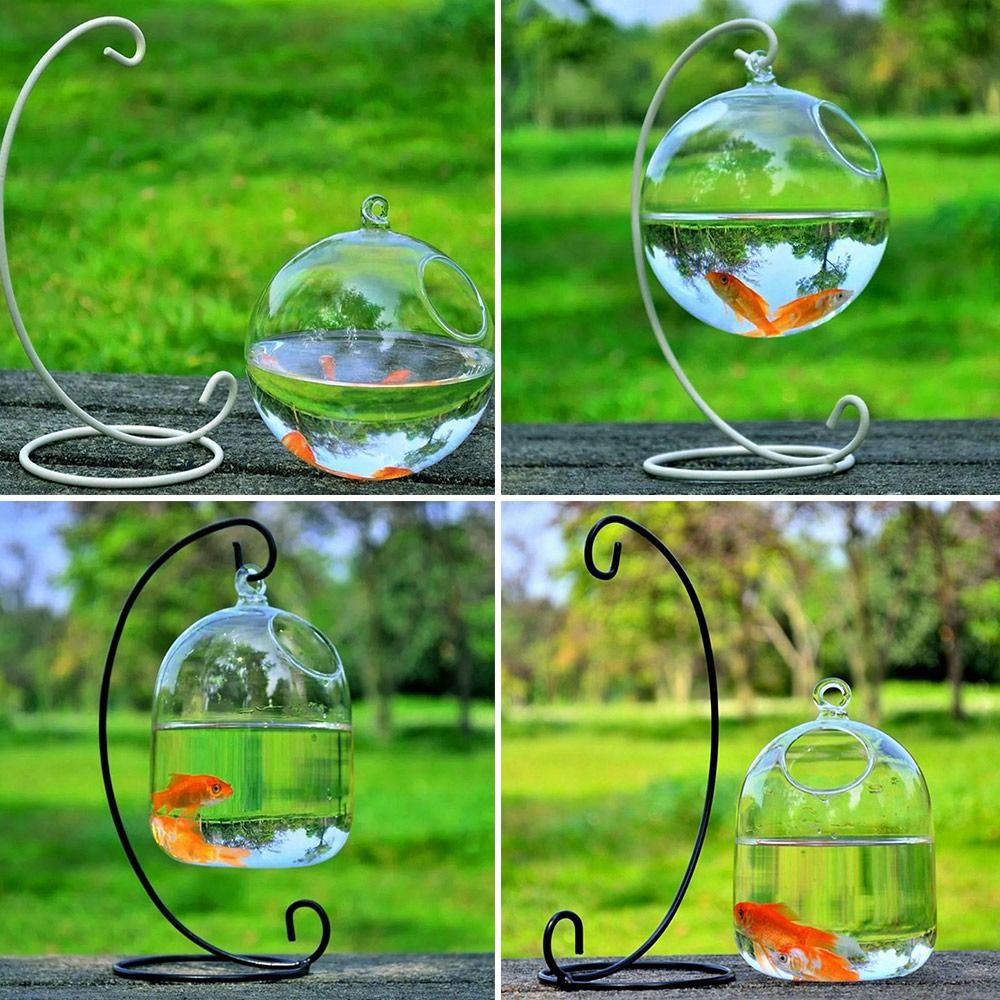 Aquarium Fish Com - Round and Retangle Shape Hanging Glass