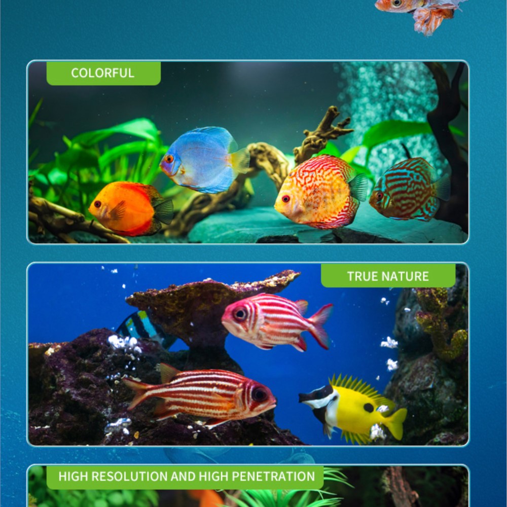 Full Spectrum Plantada Aquariu - Aquarium Fish Com avaliação e preço