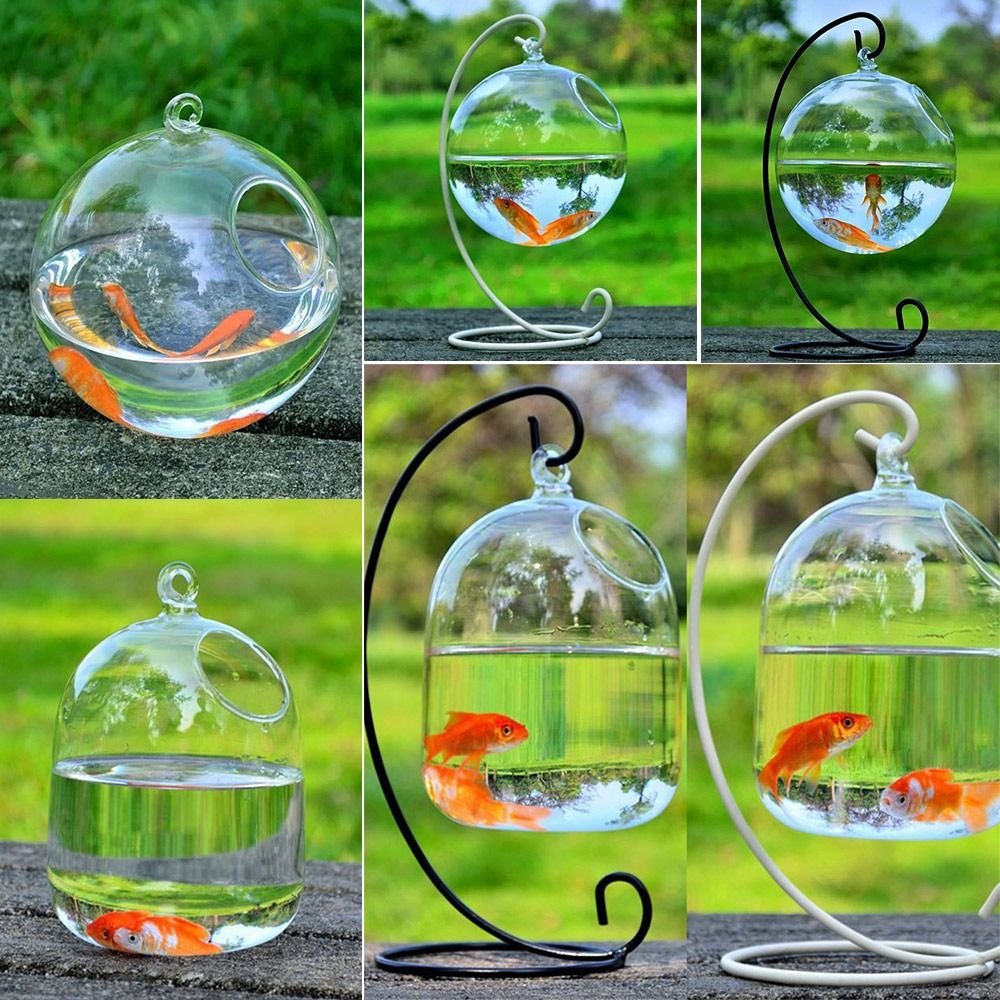 Round and Retangle Shape Hangi - Aquarium Fish Com avaliação e preço