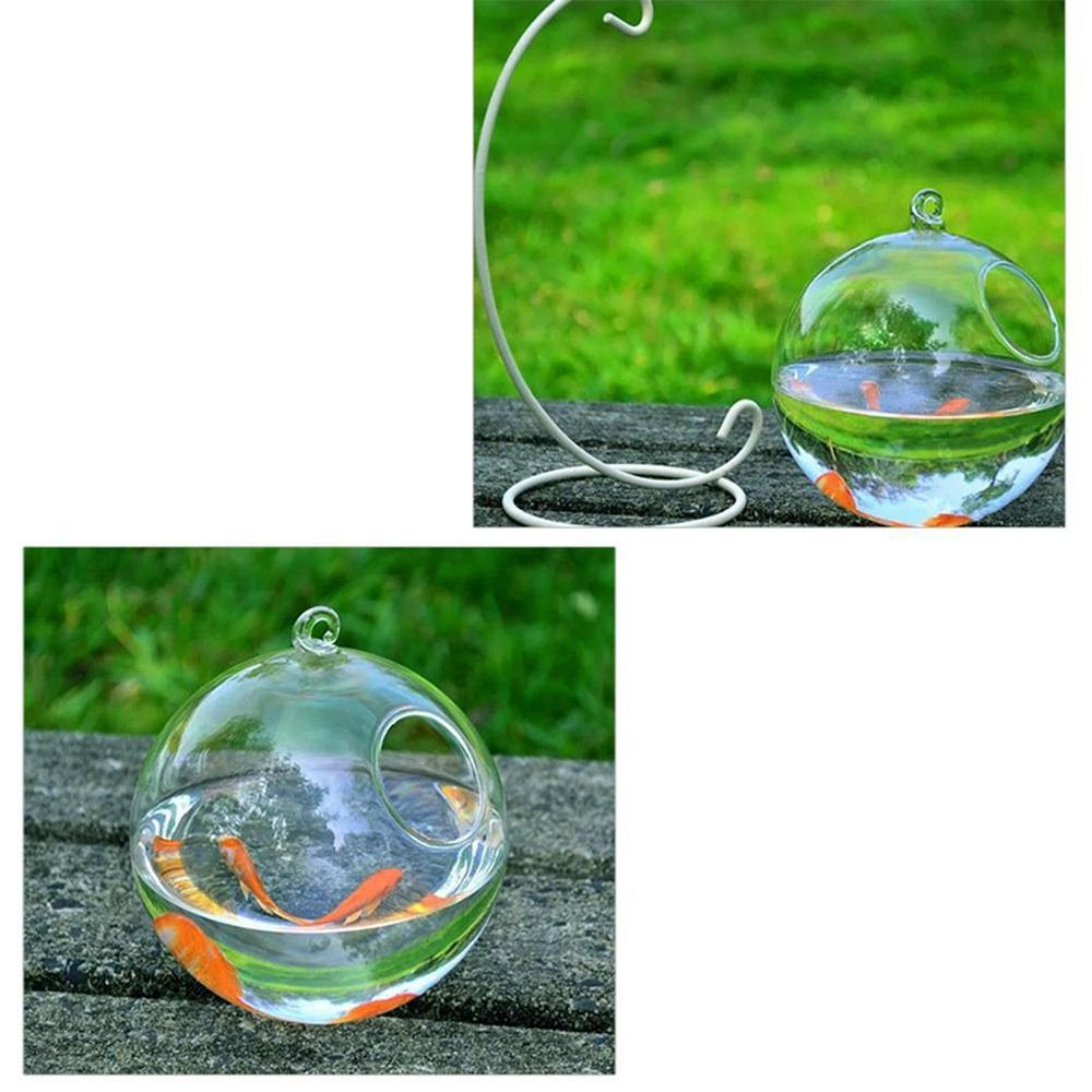 Round and Retangle Shape Hangi - Aquarium Fish Com avaliação e preço