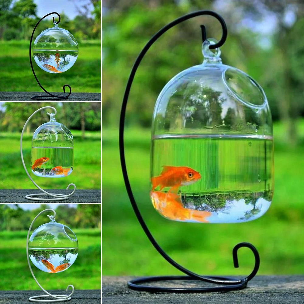 Round and Retangle Shape Hangi - Aquarium Fish Com avaliação e preço