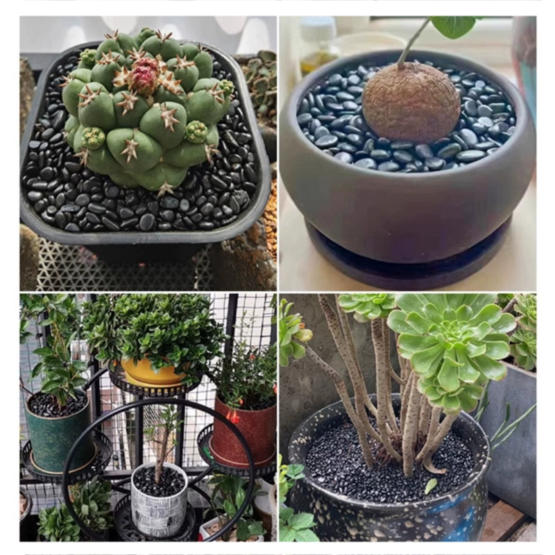 Pedras de rio polidas brancas  - Aquarium Fish Bowl avaliação e preço