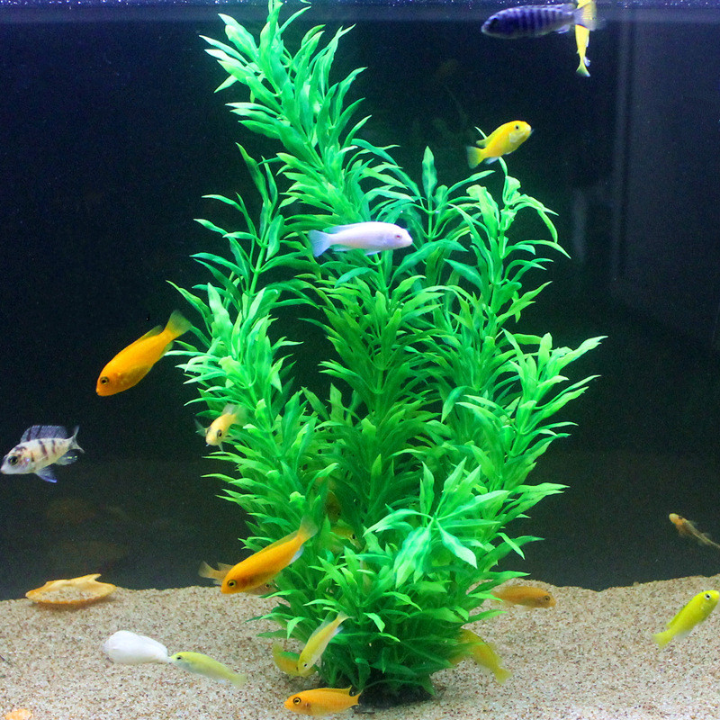 Plantas Artificiais Raras para - Aquarium Fish Green avaliação e preço